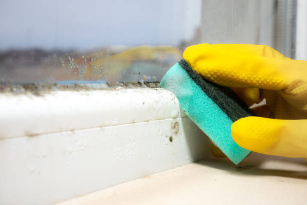 Best Mold Removal and Inspection  in Country Clu, MO
