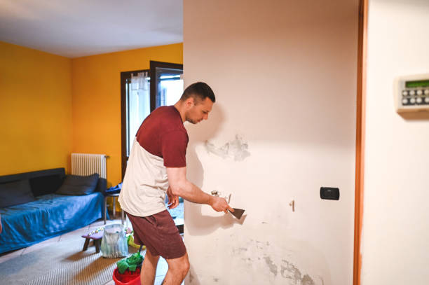 Best Crawl Space Mold Removal  in Country Clu, MO