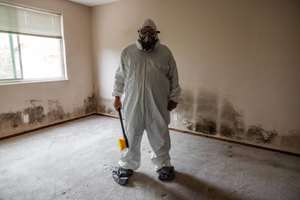 Best Toxic Mold Removal  in Country Clu, MO